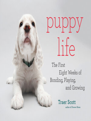 cover image of Puppy Life